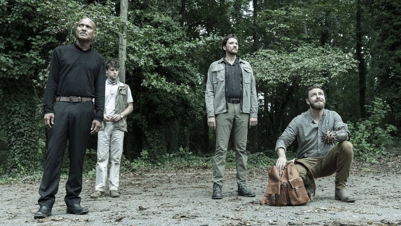The Walking Dead Sezon 11 Odcinek 13 • Filmy-Vider.pl