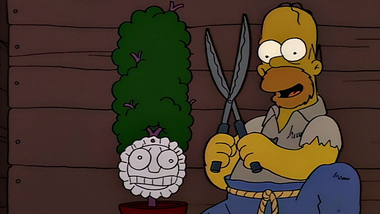 Simpsonowie {se_code} - Vider