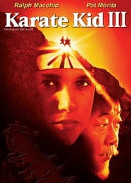 Karate Kid 3 Cały Film (1989) - Vider • Filmy-Vider.pl