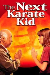 Karate Kid 4. Mistrz i uczennica Cały Film (1994) - Vider • Filmy-Vider.pl