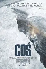 Coś Cały Film (2011) - Vider • Filmy-Vider.pl