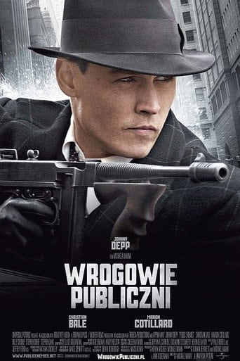 Wrogowie Publiczni Cały Film (2009) - Vider • Filmy-Vider.pl