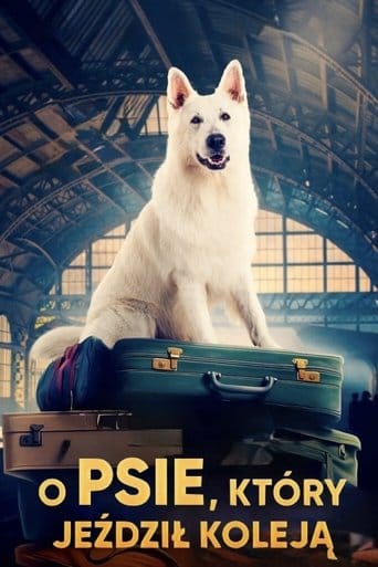 O psie, który jeździł koleją Cały Film (2023) - Vider • Filmy-Vider.pl
