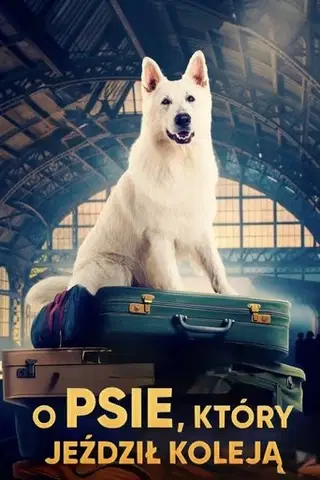 O psie, który jeździł koleją Cały Film (2023) - Vider • Filmy-Vider.pl