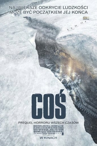 Coś Cały Film (2011) - Vider • Filmy-Vider.pl