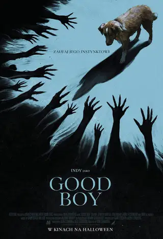 Good boy Cały Film (2025) - Vider • Filmy-Vider.pl