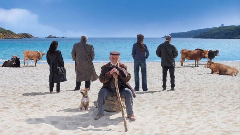 Takie jest życie Cały Film (2025) - Vider • Filmy-Vider.pl