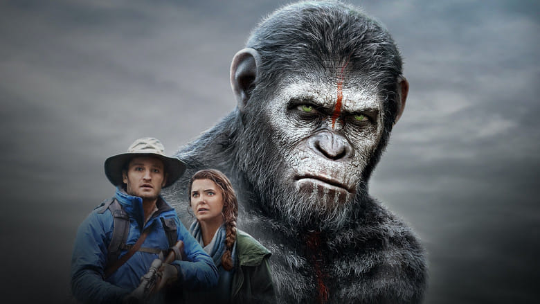 Ewolucja Planety Małp Cały Film (2014) - Vider • Filmy-Vider.pl