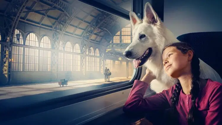 O psie, który jeździł koleją Cały Film (2023) - Vider • Filmy-Vider.pl