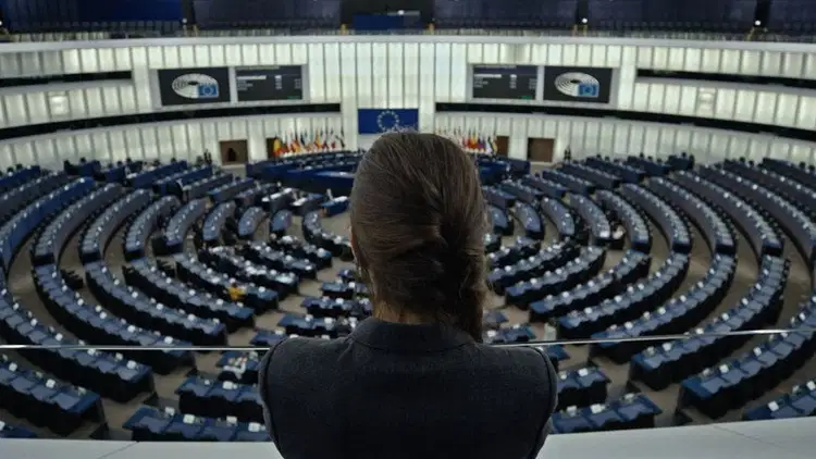 Food for Profit Cały Film (2024) - Vider • Filmy-Vider.pl
