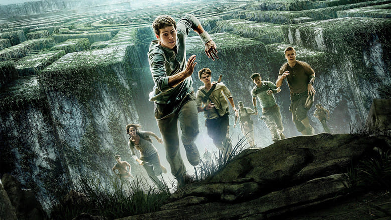 Więzień labiryntu Cały Film (2014) - Vider • Filmy-Vider.pl