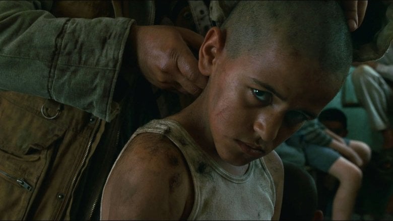 Pogorzelisko Cały Film (2010) - Vider • Filmy-Vider.pl