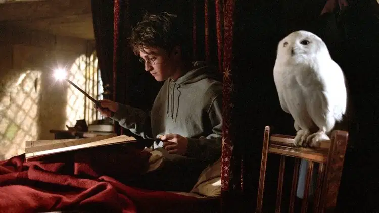 Harry Potter i więzień Azkabanu Cały Film (2004) - Vider • Filmy-Vider.pl