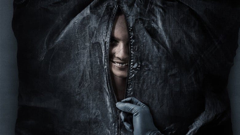 Uśmiechnij się Cały Film (2022) - Vider • Filmy-Vider.pl
