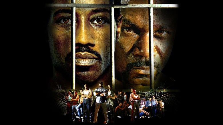 Champion Cały Film (2002) - Vider • Filmy-Vider.pl