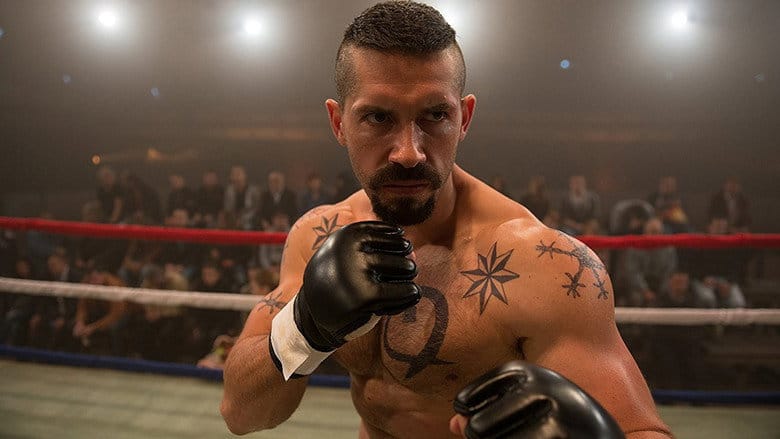 Champion 4: Walka o honor Cały Film (2016) - Vider • Filmy-Vider.pl