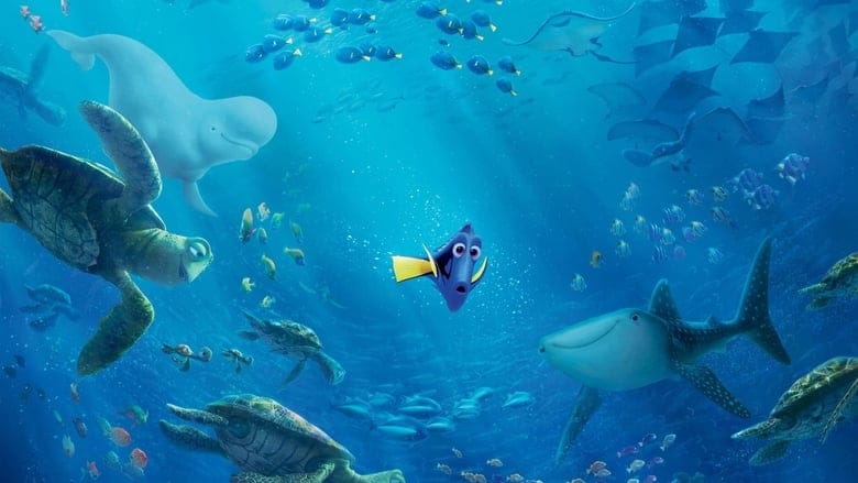 Gdzie jest Dory Cały Film (2016) - Vider • Filmy-Vider.pl