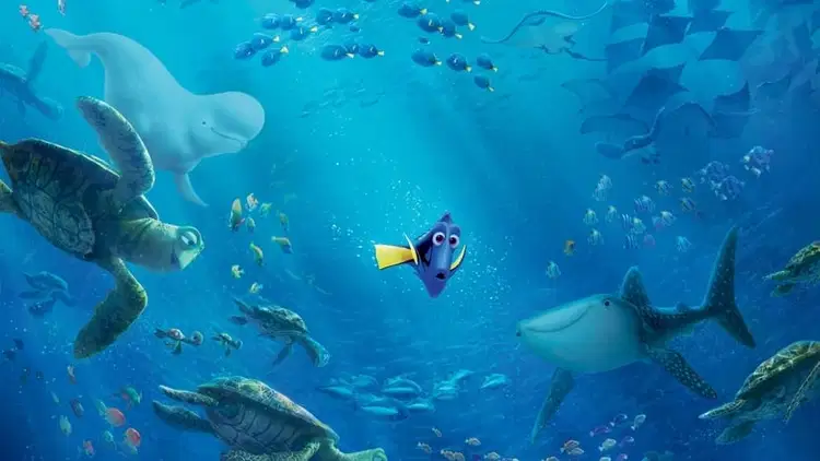 Gdzie jest Dory Cały Film (2016) - Vider • Filmy-Vider.pl