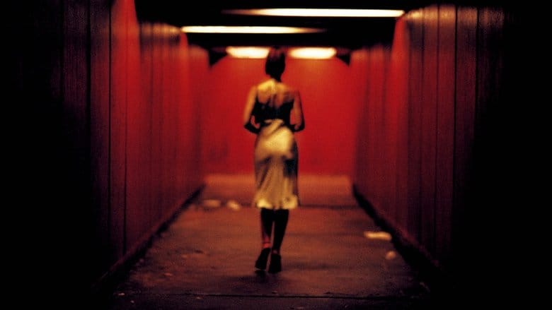 Nieodwracalne Cały Film (2002) - Vider • Filmy-Vider.pl